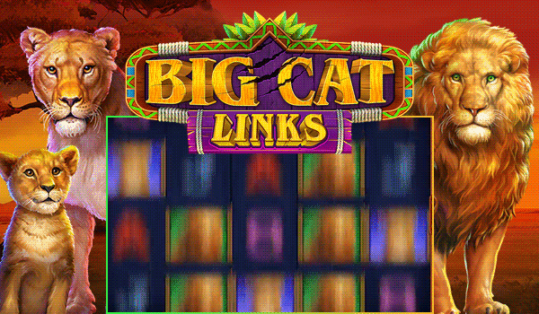 Play Big Cat Links