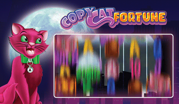 Play Copy Cat Fortune